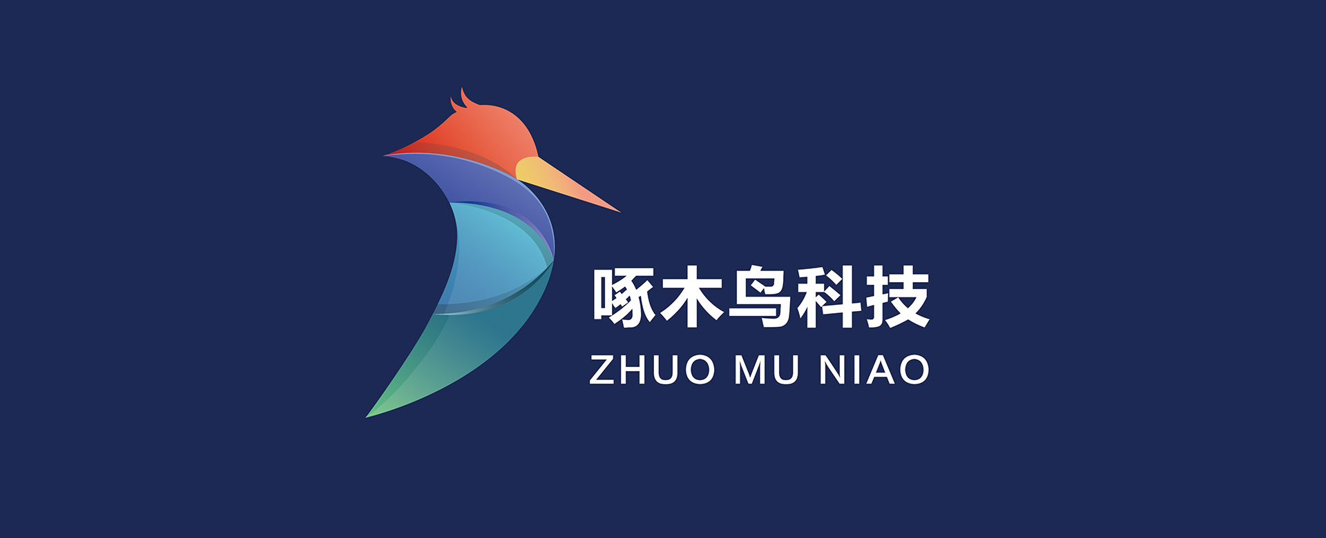 啄木鸟VI设计banner-3.jpg